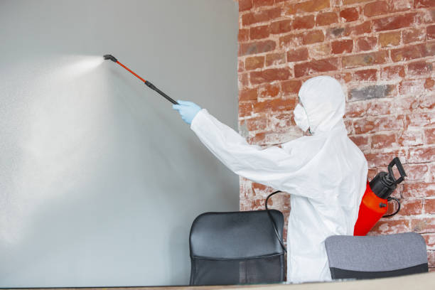 Best Emergency Mold Remediation  in Lumber City, GA