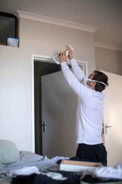 Best Mold Damage Restoration  in Lumber City, GA