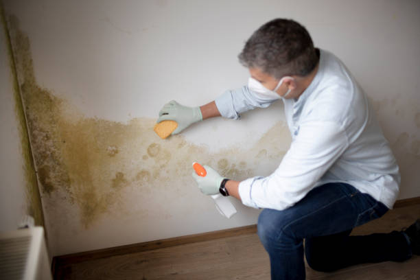 Best Industrial Mold Remediation  in Lumber City, GA