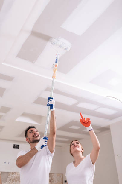 Best Attic Mold Removal  in Lumber City, GA