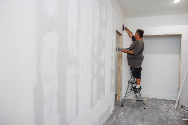 Best Environmental Consulting for Mold Prevention  in Lumber City, GA
