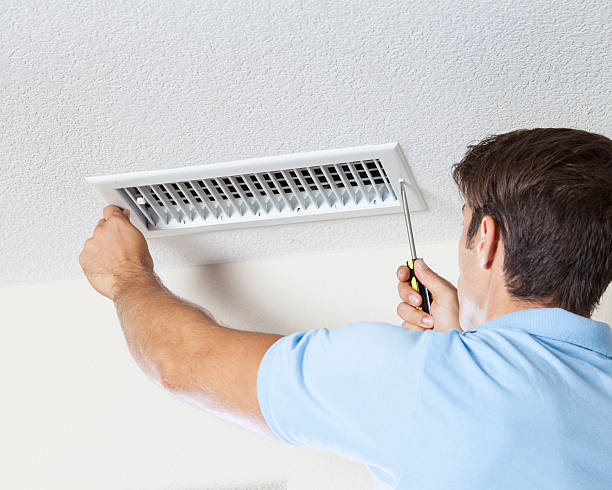 Best Mold Removal for HVAC Installations  in Lumber City, GA